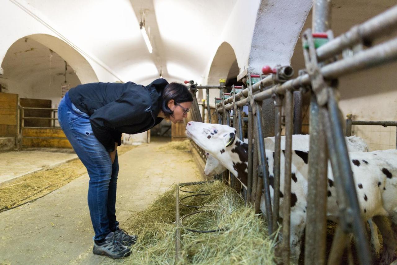 Erlebnisbauernhof Steinerhof In Kaernten Liebenfels Kültér fotó